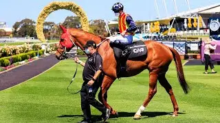 Wet Randwick track to benefit Everest frontrunners Eduardo and Nature Strip