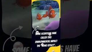 No more clownfish in the ocean??? #movietrivia #movies #nemo #findingnemo #animation #pixar #disney
