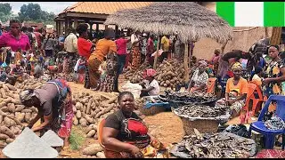 Discover The Traditional  Market in Ashangwa  Nigeria 🇳🇬west Africa, (Raw and unedited)