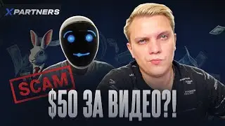 $50 за видео? Разоблачение TikTok-схемы NOFACEMONEY и XPARTNERS | Реакция Дмитрия Лето