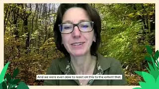 Fem4forest