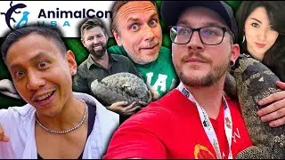 How Do You Go On Vacation With 100 Reptiles? @AntsCanada @SerpaDesign and Your Favorites Weigh In!