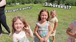 We got horses!!! *surprising our daughters* | Pe&ntilde;a Family Vlogs