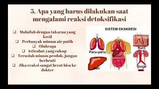 DETOKSIFIKASI Proses dari Sakit menuju Sehat