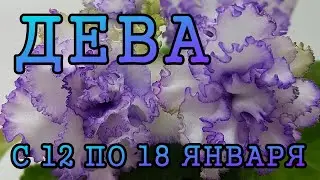 ДЕВА таро прогноз на неделю с 12 по 18 ЯНВАРЯ 2026 года