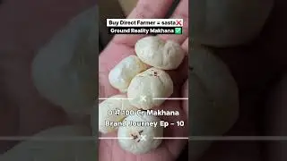 Zero से 100 cr Brand Journey - Ep 10 #makhana #business #Bihar