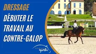 Un exercice pour d&eacute;buter le contre galop