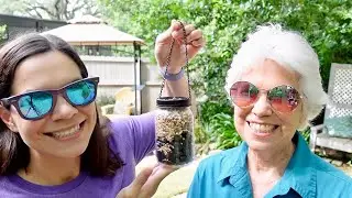 DIY Dollar Tree Mason Jar Bird Feeder