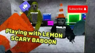 Playing with LEMON 🍋 | Scary 😱 Baboon!