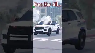 Roleplay vs public servers in ERLC