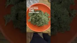 How To Cure & Store Cannabis (So It Stays Fresh For At Least One Full Year)