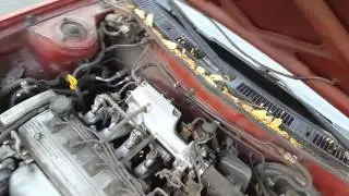 AE101 Corolla Walk around
