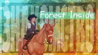 Знакомство с Forest Inside