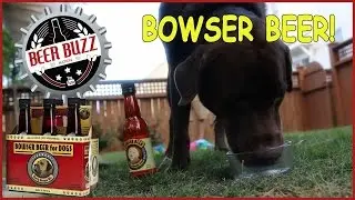 LAPPING UP BOWSER BEER