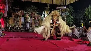 Cikho Cis Nyongsong Ida Bhetari napak siti ring Pura Dalem jagat Singakerta Ubud 🙏🙏🙏