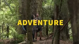 Three tracks to find your adventure in Greater Wellington&rsquo;s Regional Parks