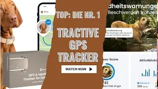 Tractive GPS für Hunde 2025 - Warum dieser Tracker aktuell unschlagbar ist! #hundetrainer #gadgets