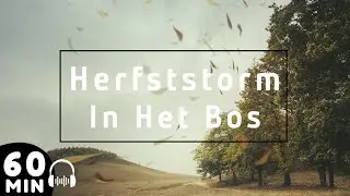 60 Minuten Herfststorm 💨 Wind Geluiden voor Slaap, Ontspanning en Achtergrond geluiden