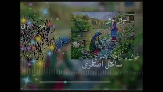 آهنگ تاشه توغ کدون تو مره کشت @ضیا سلطانی  خواننده ساحل اصغری #هزارگی #مالستانی #قطغنی #جاغوری #رقص
