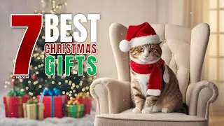 7 Best Christmas Gift ideas for Cat LOVERS