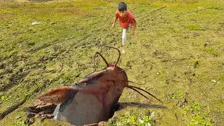 Amazing Hand Fishing Video | River Site Dry Place Underground Monster Fish Come Out Automatic