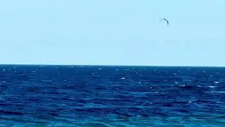 Kiteboarding Los barriles B.C.S, México 🇲🇽 