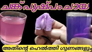 ശംഖ് പുഷ്പം അഴകിനും ആരോഗ്യത്തിനും ഇതുപോലെ ഉപയോഗിച്ചു നോക്കൂ-വണ്ണം കുറയും മുഖം തിളങ്ങും#hello kitchen