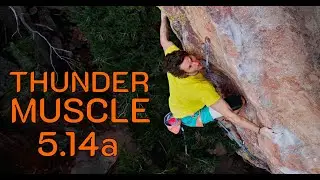 Thunder Muscle \\ 5.14a \\ Flatirons, CO