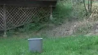 SODIUM METAL EXPLOSION underwater