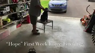 &ldquo;Hope&rdquo; First Week Force-Fetching