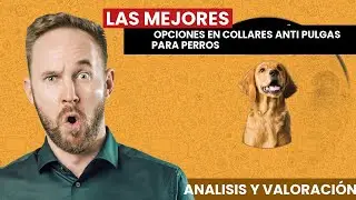 Las MEJORES OPCIONES en COLLARES ANTIPULGAS para PERROS???