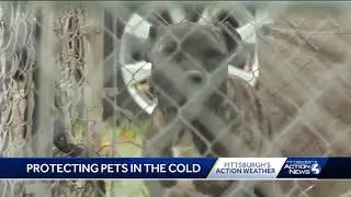 Greensburg police ride-along: Pet owners urged to bring animals inside during cold snap