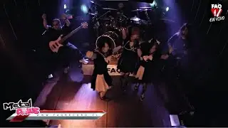 Metal Paws - KARATE (Babymetal cover)
