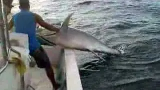 Tuna hits the deck