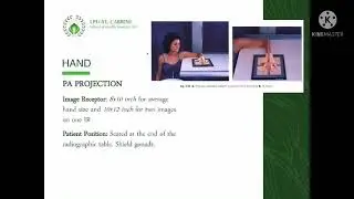 projections of the Hand