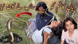 Diyan Kazim Ko Sanp Nay Kat Lia 😭