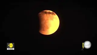 WION WINGS: Blood Moon | WION PROMO | S3 EP96