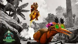 EP 5: Base Building and Summer Bash | ARK: Ragnarok