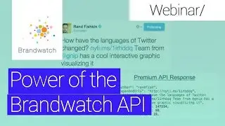 Take your Brandwatch data anywhere: The power of the API