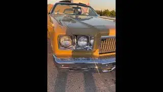 Gold Donk going crazy @ Juice's New Year's Day Celebration