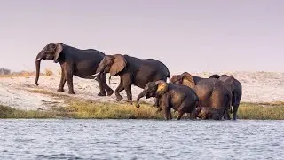 Swa vutisiwa munhu sweswo show? ( Kruger National Park-Shingwedzi )#entertainment 