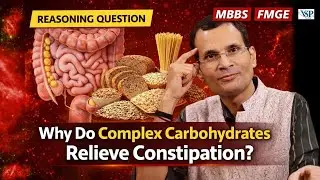 Constipation Relief Foods Explained | Reasoning Physiology (Hindi) | 1st MBBS / FMGE | Dr Vivek |