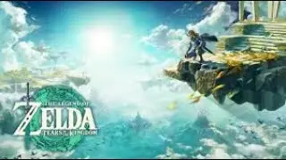 Legend of Zelda Tears of the Kingdom Meeting Purah