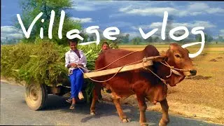 ||Village Vlog🤗🤗||Village Life in Pakistan||Beauty Of village😍😍||Morning Routine🙂🙂||Tahir Malik||.