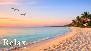 Peaceful Piano & Nature Sounds for Stress Relief, Anxiety Calm and Deep Focus