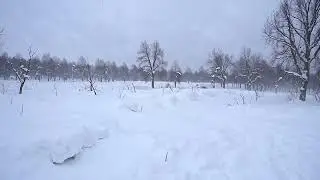 Bet es Tevi vēl satikšu  (Pirmais sniegputenis)