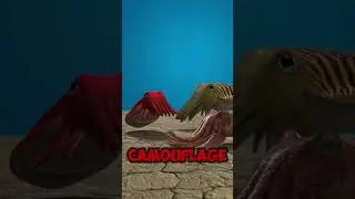 The Cuttlefish Dating Strategy is PURE DECEPTION
