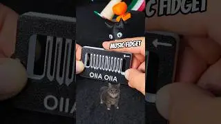 3D Printed OIIA Music Spinning Cat Rave Fidget