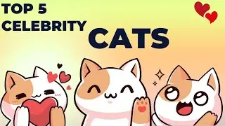Top 5 Celebrity Cats
