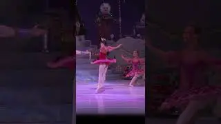 The Nutcracker | Grand Pas de Deux